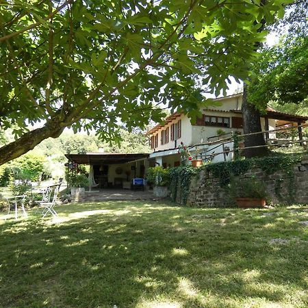 Scappo In Umbria, La Casa Nel Bosco Villa Amelia Exteriör bild