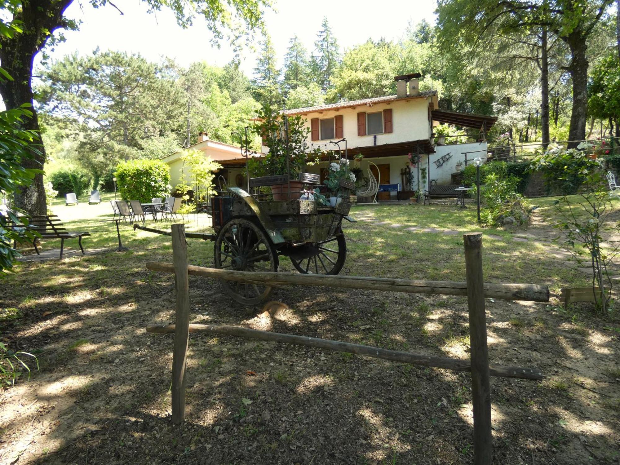 Scappo In Umbria, La Casa Nel Bosco Villa Amelia Exteriör bild
